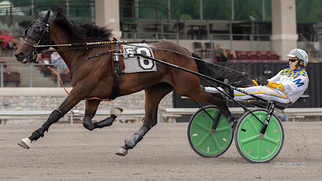 Shes A Shoe In and driver Mark MacDonald