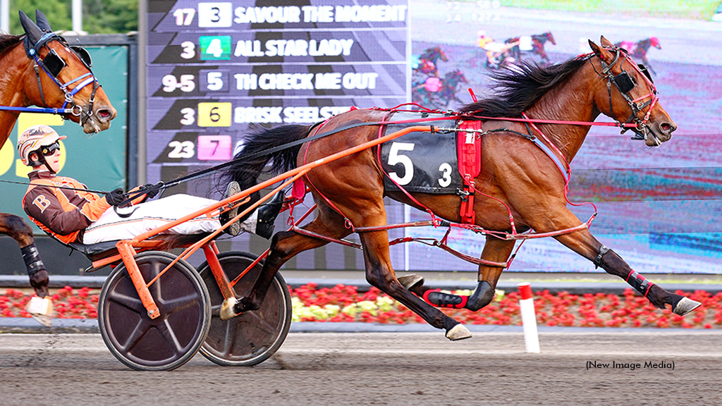 TH Check Me Out winning at Woodbine Mohawk Park