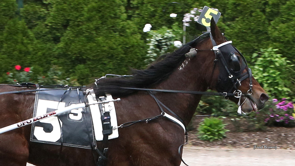 The Last Martini winning at Tioga Downs