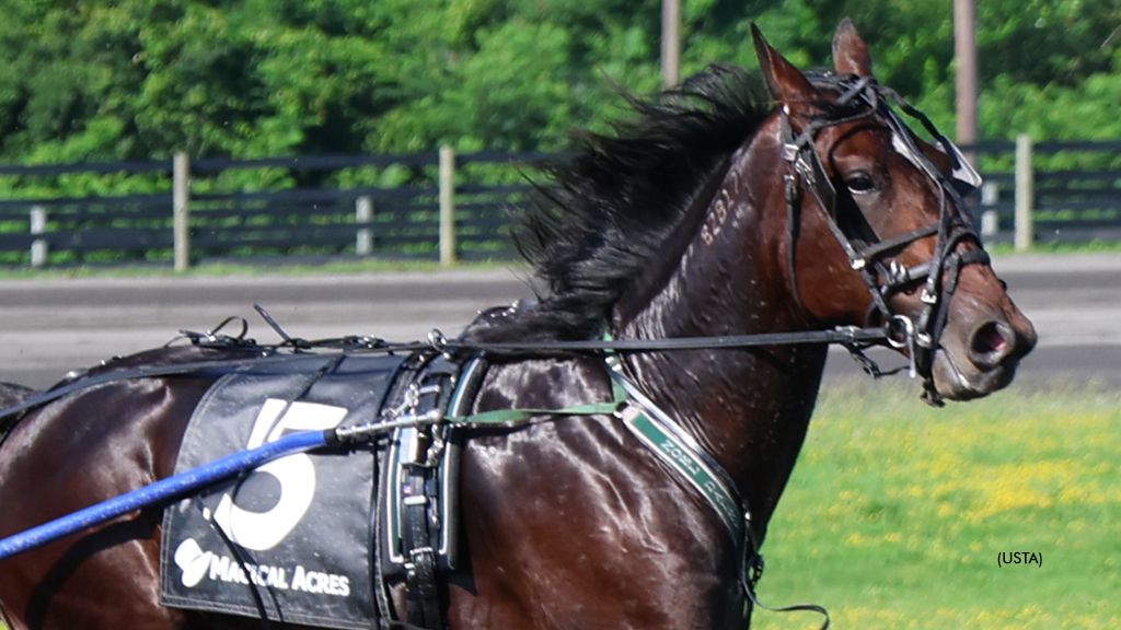 Toast Of The Town at Magical Acres