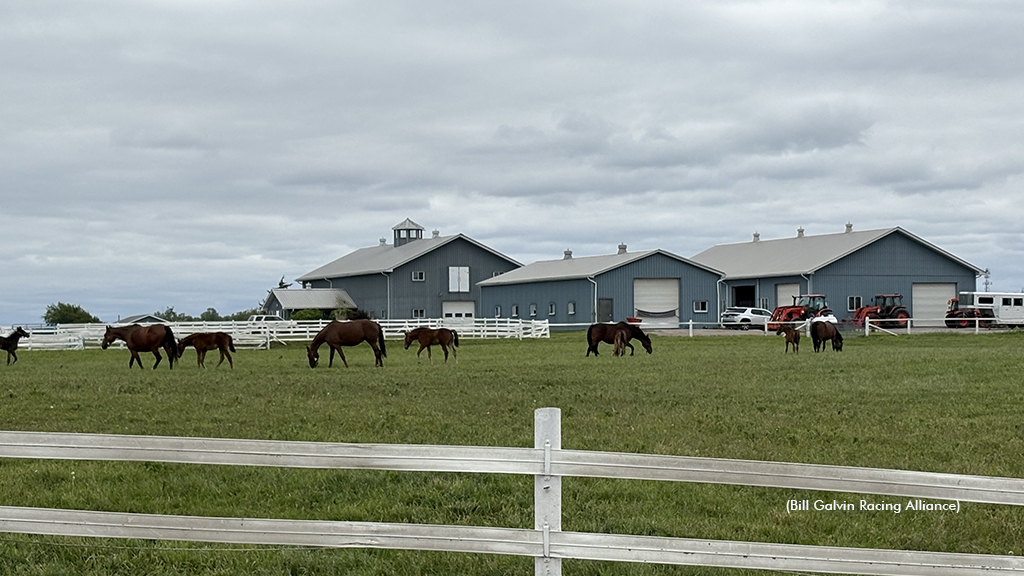 A view of Tom Rankin's farm