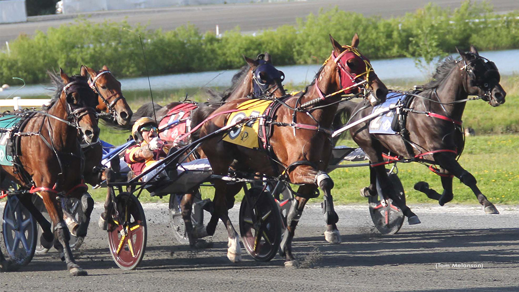 TurnThePageN-060325-TomMelanson-1024px.
