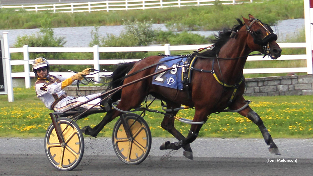 Unrivaled Hanover