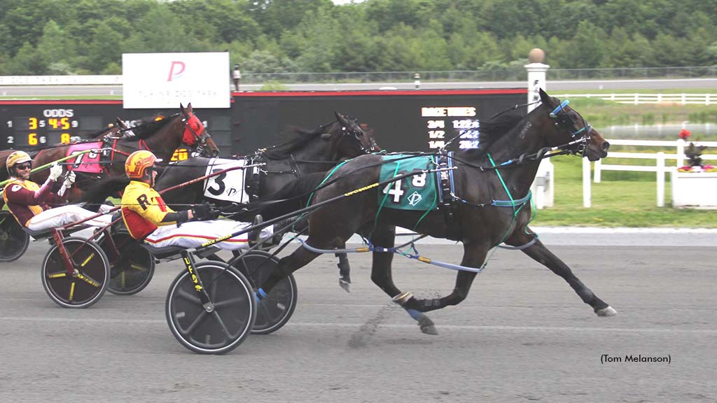Wainapedia winning at Plainridge Park