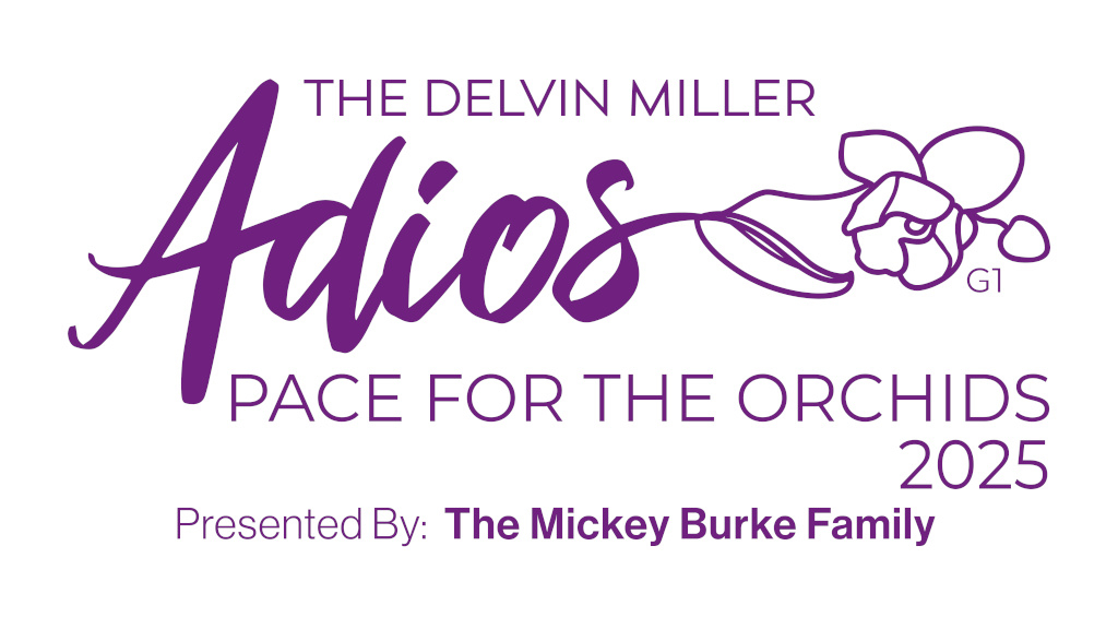2025 Adios logo