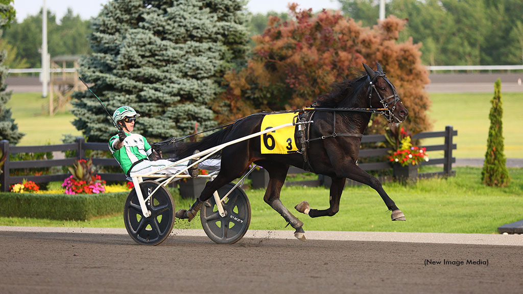 Bingo Night winning at Woodbine Mohawk Park