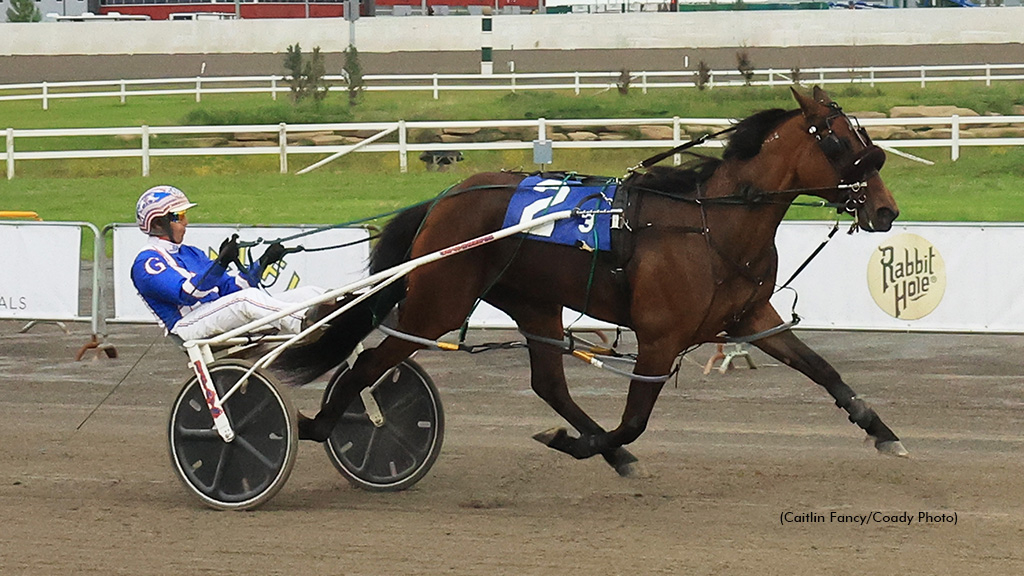 Custard Dolce winning at Century Downs