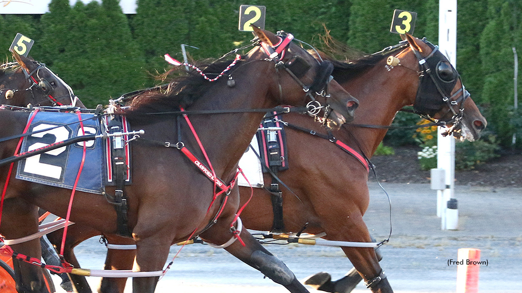 Elegant A winning at Tioga Downs
