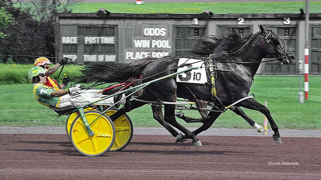 FranticHanover-070725-CurtisSalonick-1024px