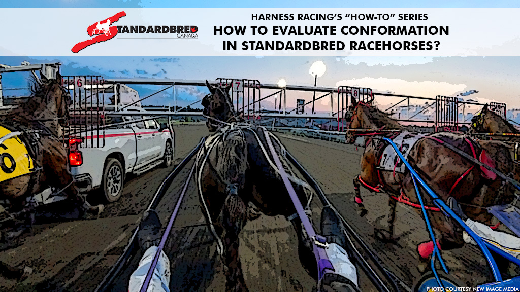 Harness Racing's "How-To" Series web image