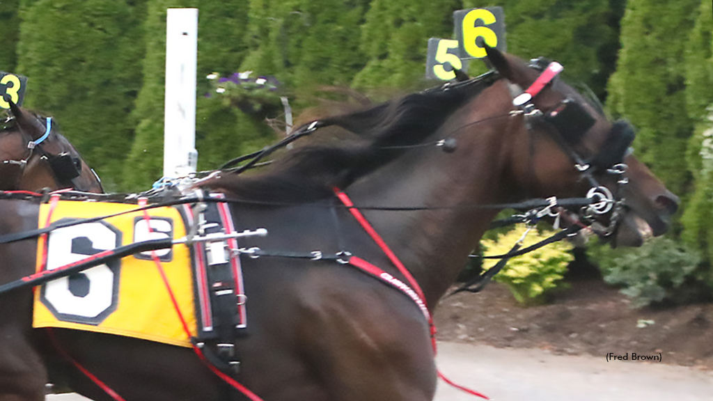 Lady Saturn winning at Tioga Downs