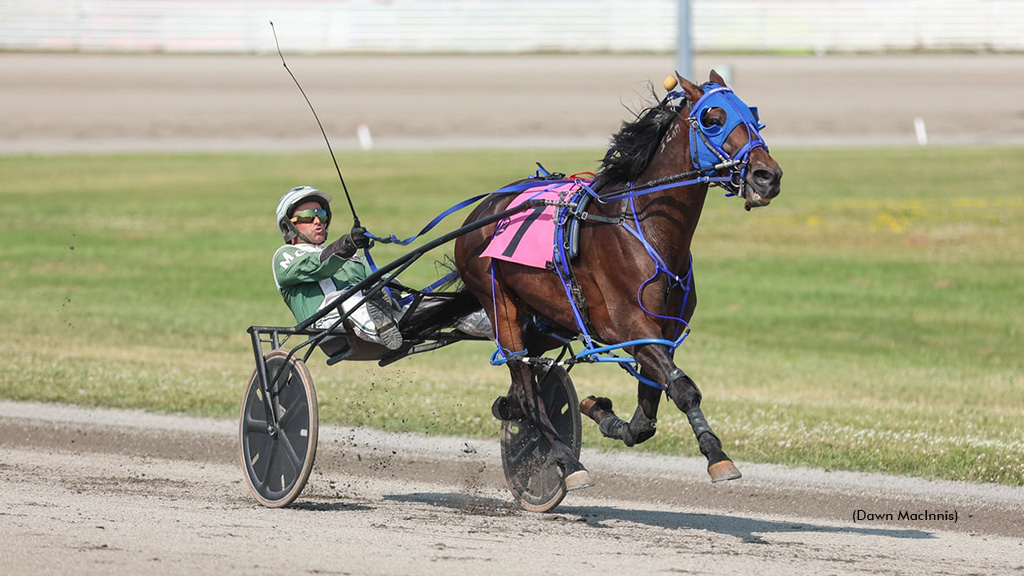Miki Shan N winning at Summerside Raceway