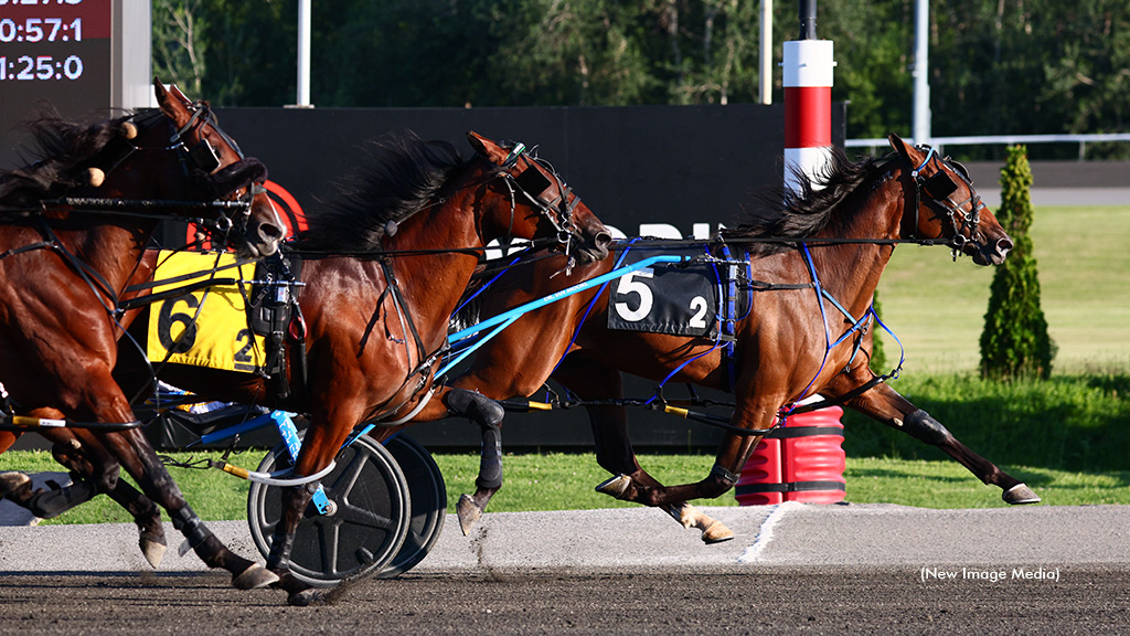 P N G Shadow winning at Woodbine Mohawk Park