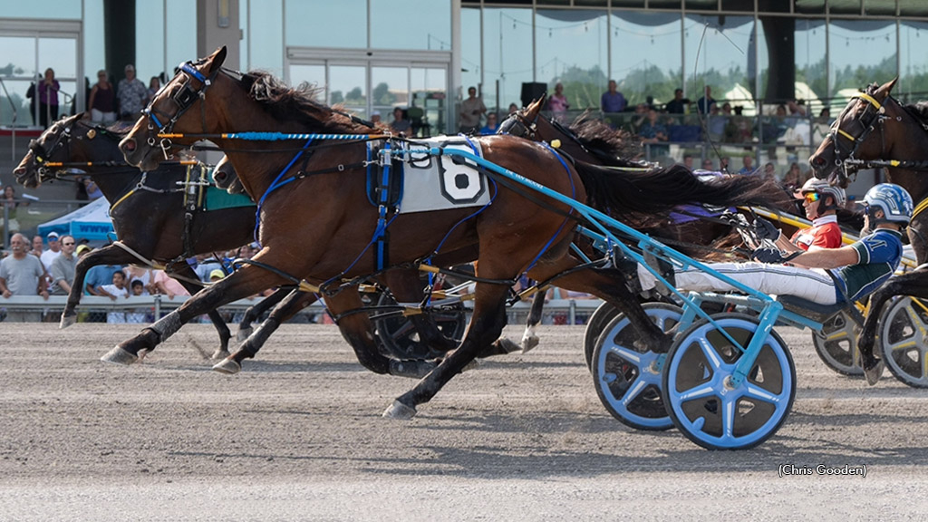 Prince Hal Hanover winning at The Meadows