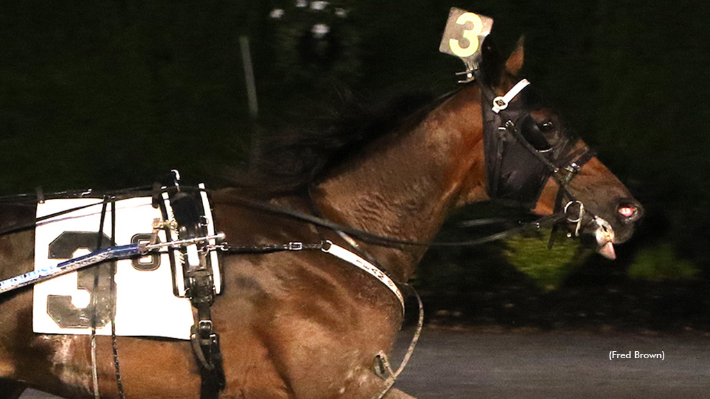 Purple Lord winning at Tioga Downs