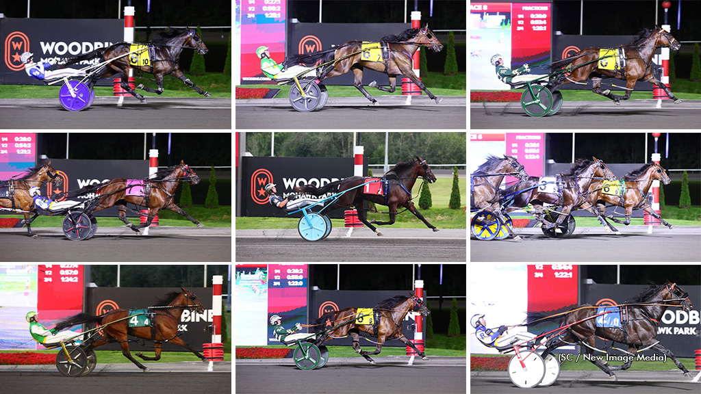 All of the stakes winners on Wellwood Memorial night in a collage