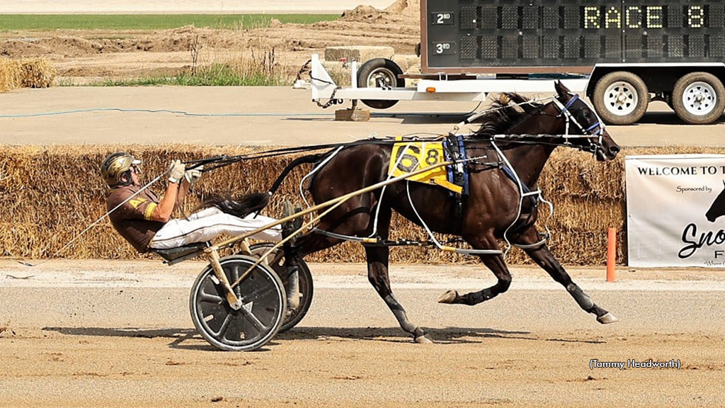 Born Wild winning at Northville Hastings