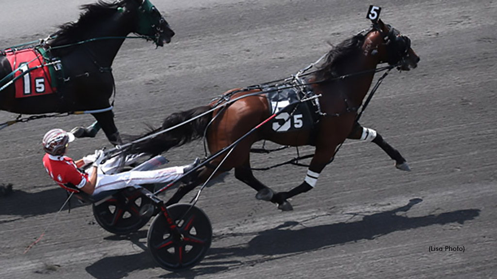 Captain Optimistic winning at The Meadowlands