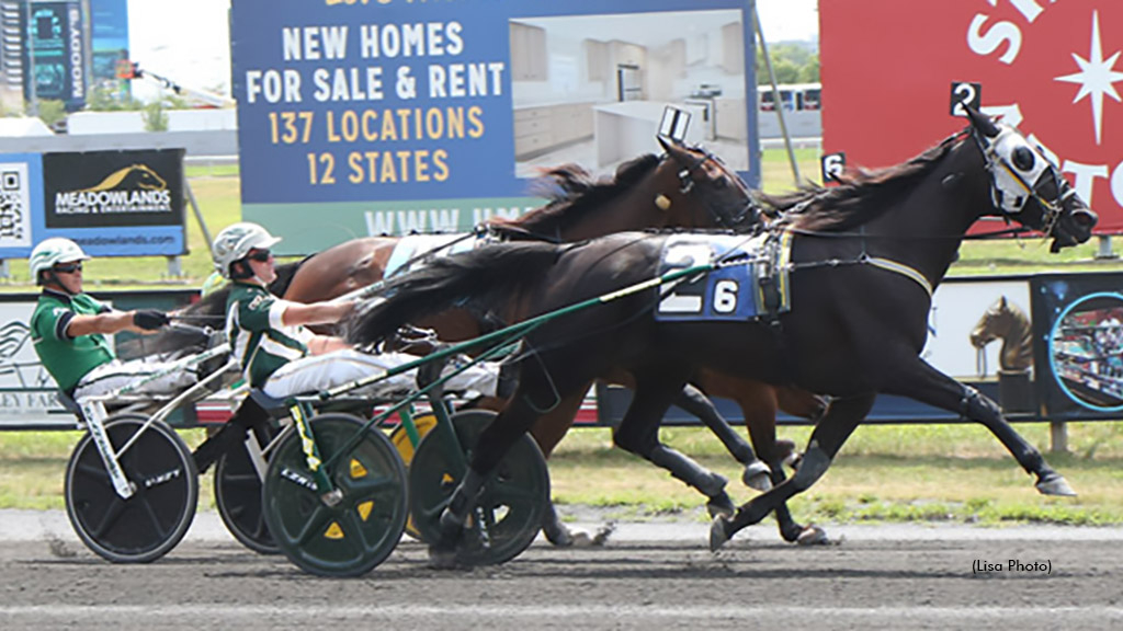 M Ms Dream winning at The Meadowlands