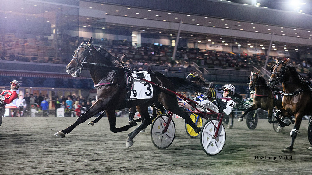 Harness racing at Woodbine Mohawk Park