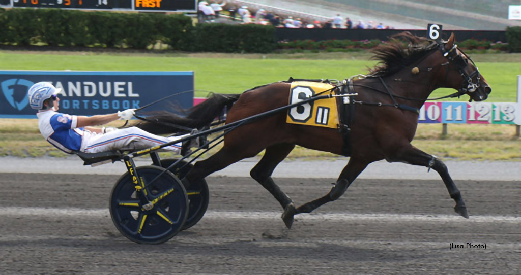 Periculum winning at The Meadowlands