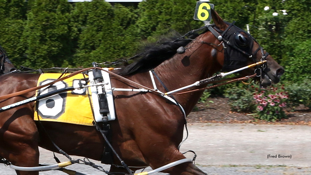 Rio winning at Tioga Downs