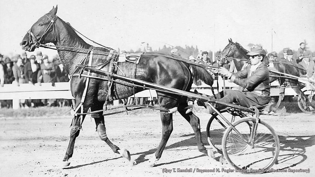 Vergery Carson at Topsham Fair