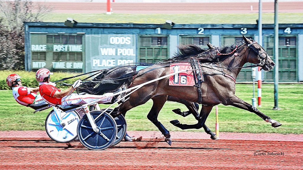 Whiskey Lou winning at Pocono Downs