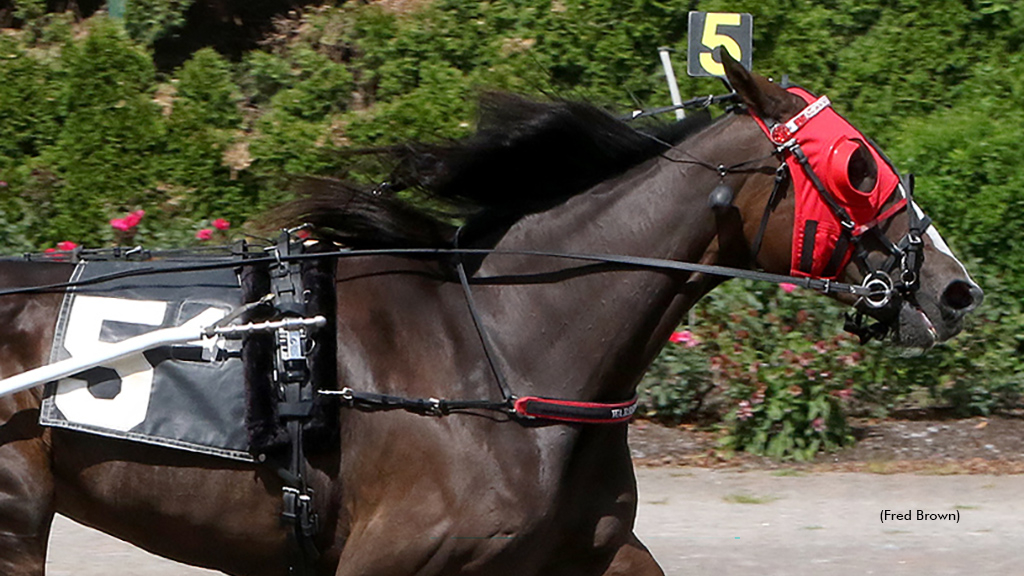 Whiskey Lou winning at Tioga Downs