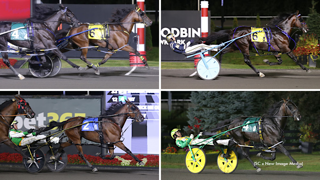 Loua Dipa, Beau Jangles, Frantic Hanover and Daya