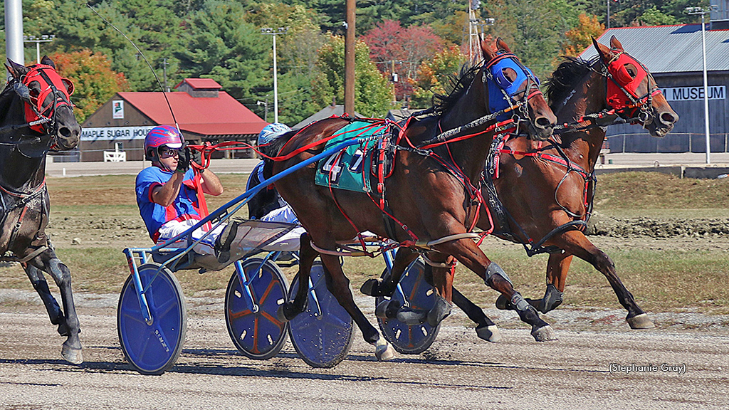 Fern Hill Flight winning at First Tracks Cumberland