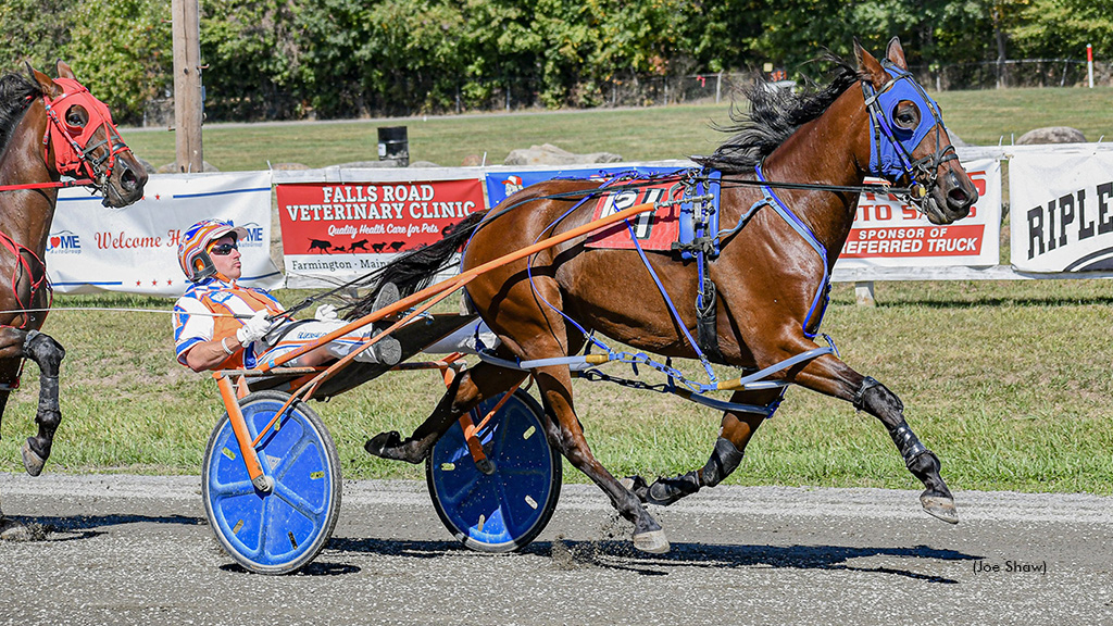 Massive Speed winning at Farmington Fair