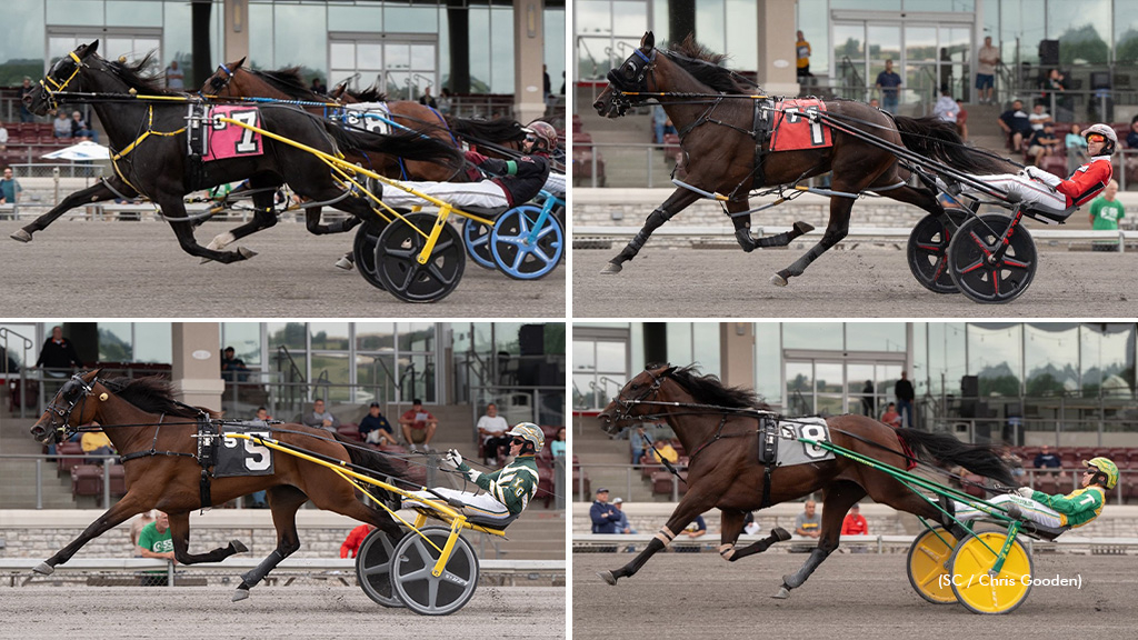 A collage of the winners of the Pennsylvania Sire Stakes Final winners