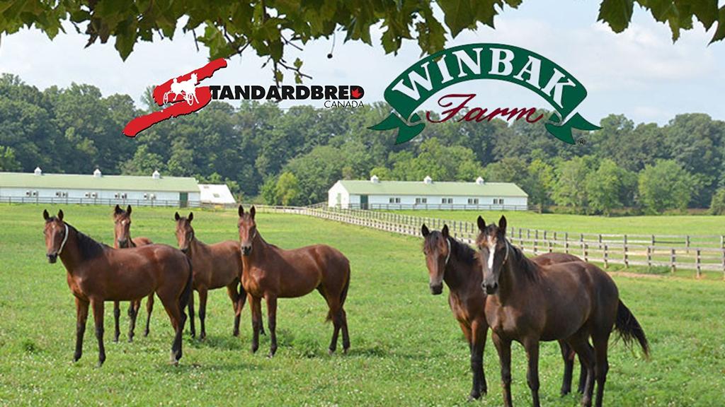 A view of Winbak Farm