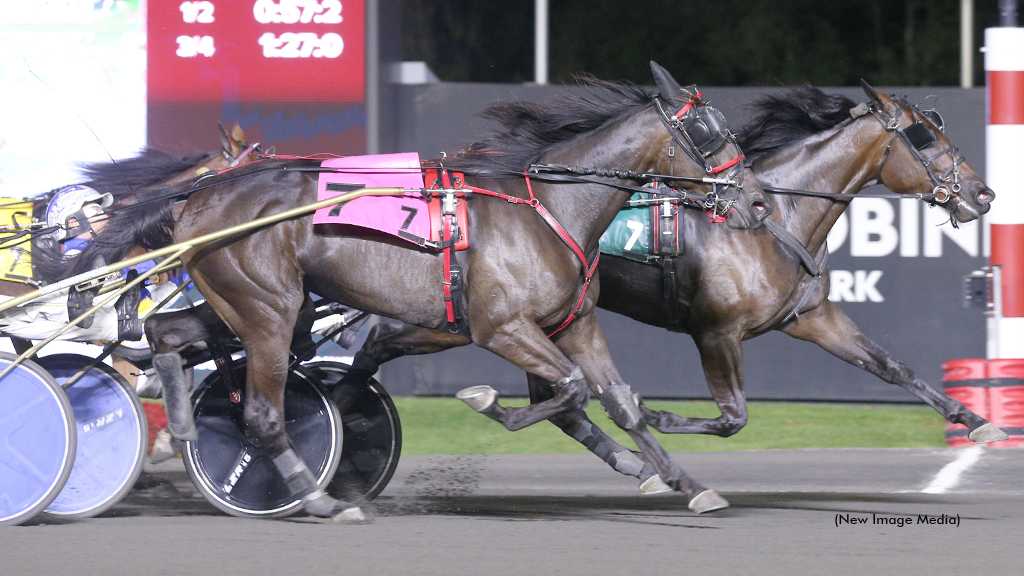 Shimmering Hanover winning at Woodbine Mohawk Park