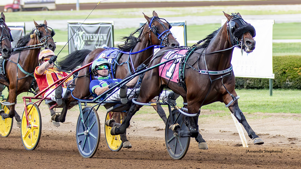 Signal Caller winning at The Red Mile