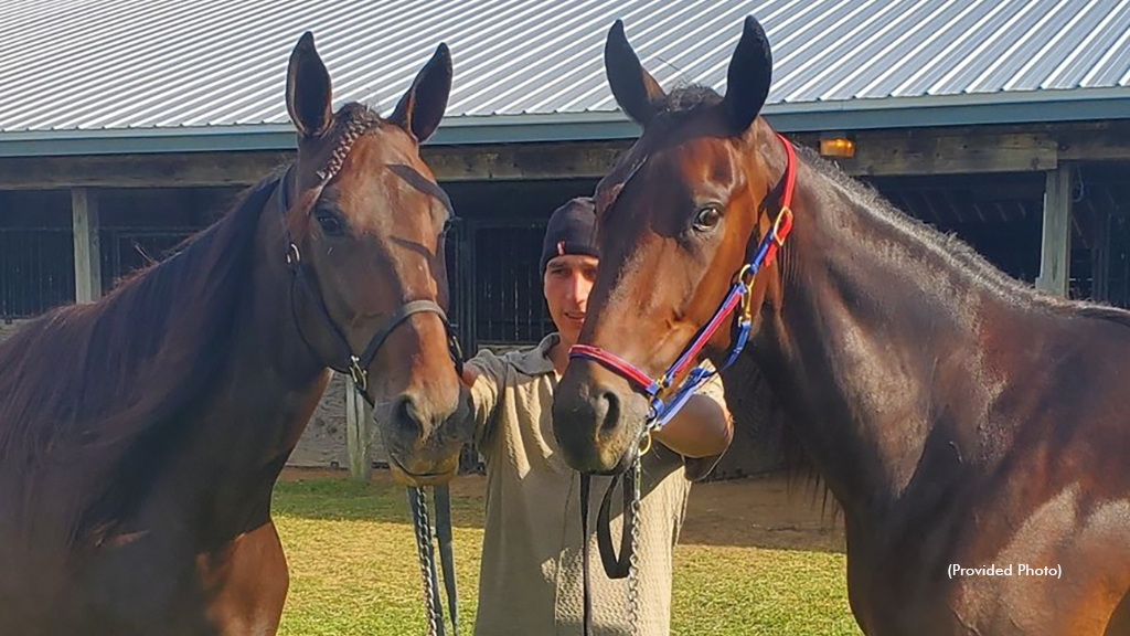 Westwinds Yahtzee (right)