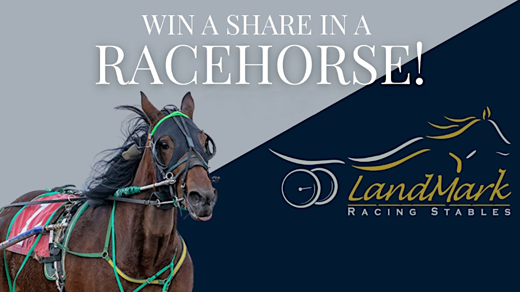 Win a share in a racehorse!