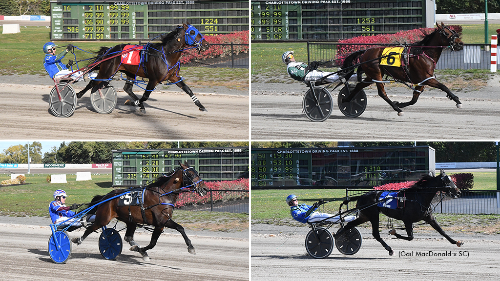 A collage of winners from Atlantic Breeders Crown day