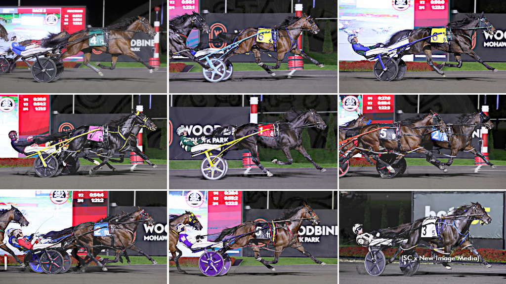 2025 Breeders Crown elim winners from the second night