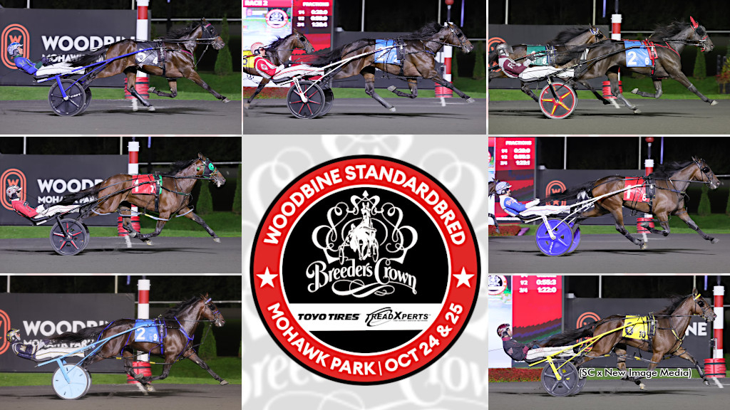 2025 Breeders Crown elim winning two-year-olds