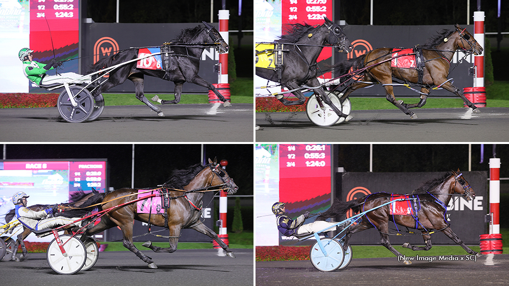 Ontario Sires Stakes Super Final two-year-old champions Bingo Night, A Clean Deal, Beau Jangles and Strobe Lite