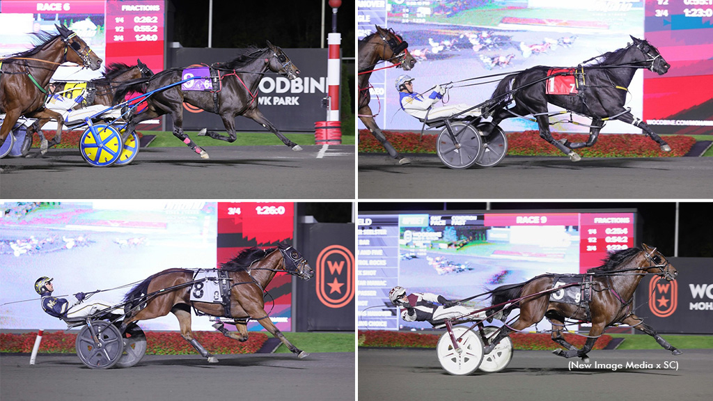 The 2025 Ontario Sires Stakes Super Final three-year-old winners in a collage