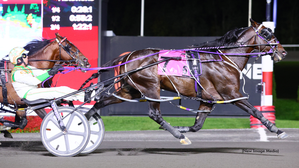 American History winning at Woodbine Mohawk Park