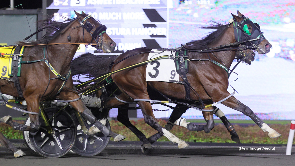 Asweetbeachhere winning at Woodbine Mohawk Park