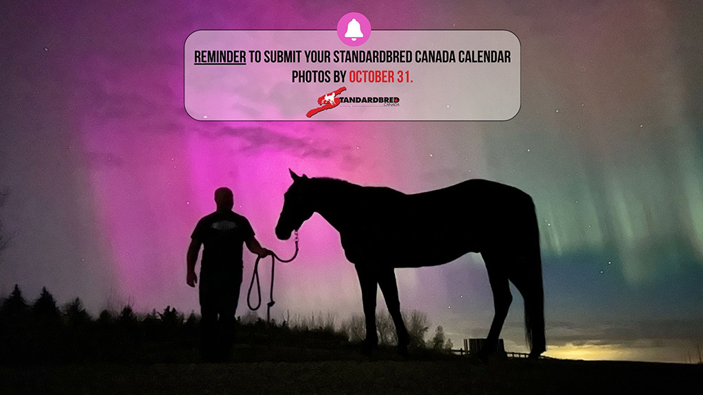 2026 Standardbred Canada Calendar Submissions Due Oct. 31