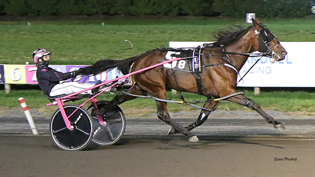 Darlins Angel winning at The Meadowlands