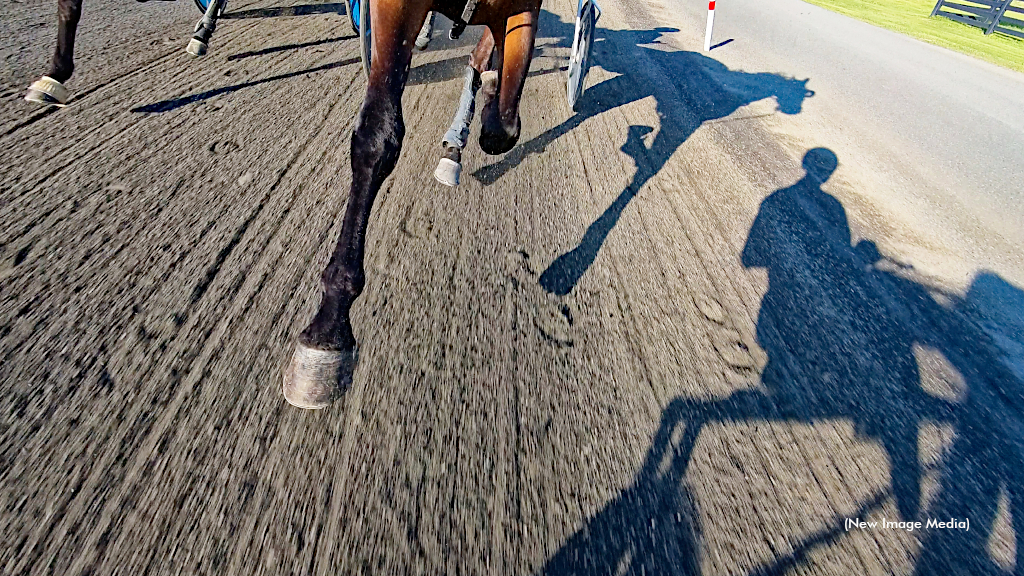 Harness racing horse and driver shadow