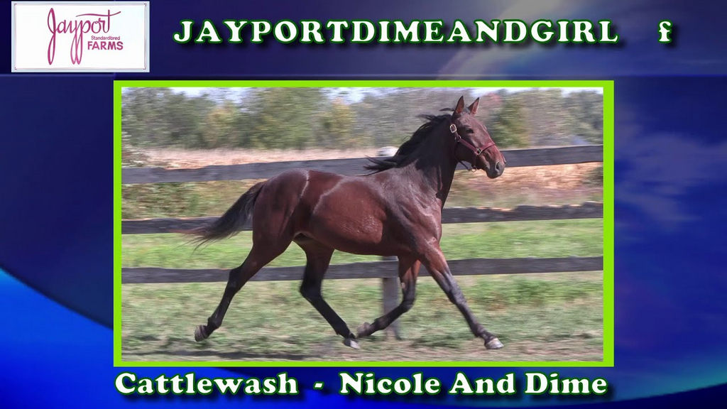 Jayportdimeandgirl