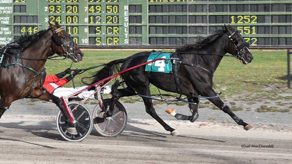 Malevolent winning at Charlottetown Driving Park